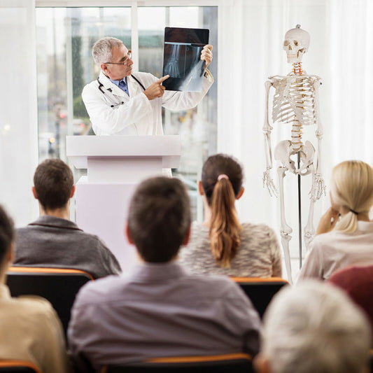 180cm Life Size Human Skeleton Model with Rolling Stand