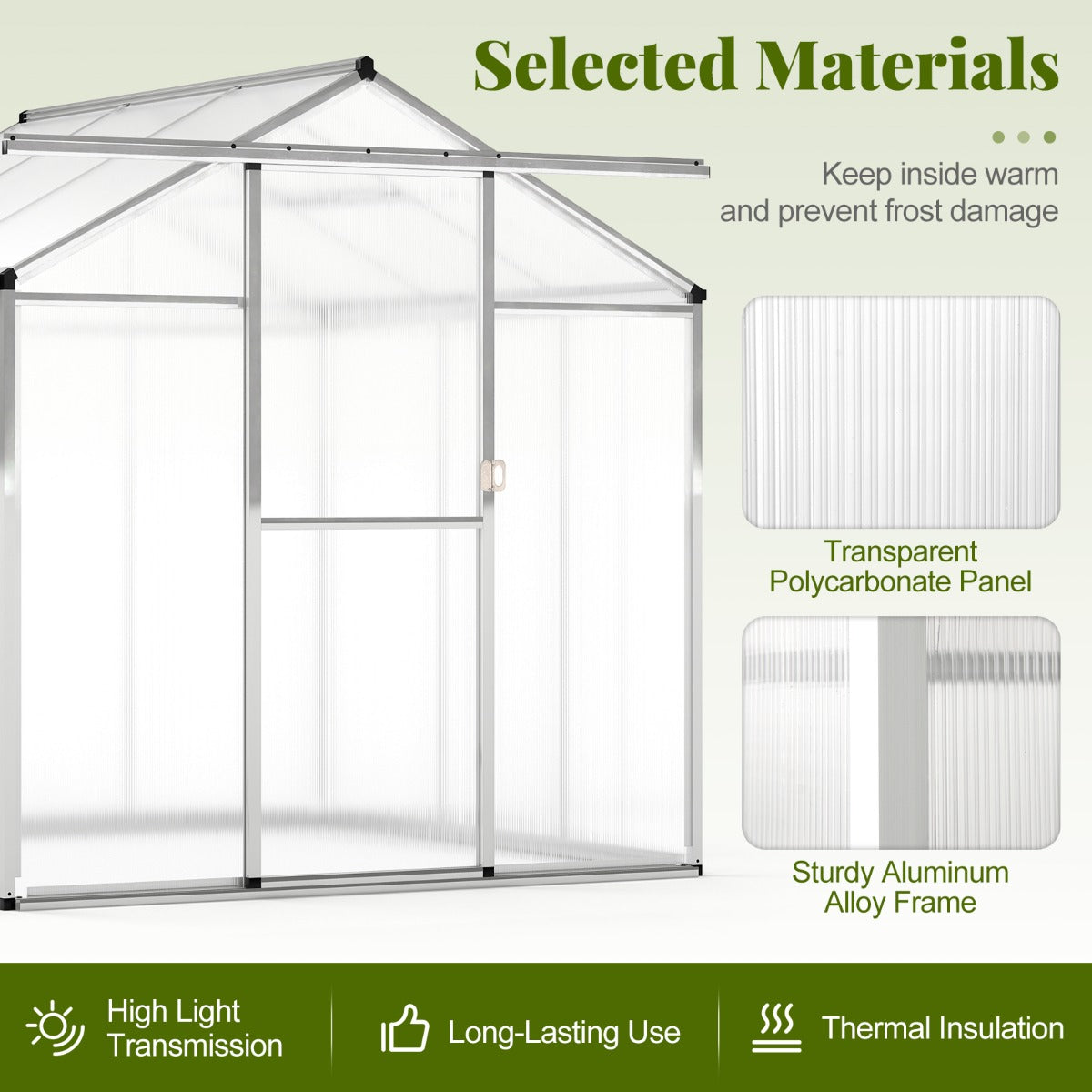 185 x 185 cm/244 x 185 cm Greenhouse Large Walk-in Green House-S