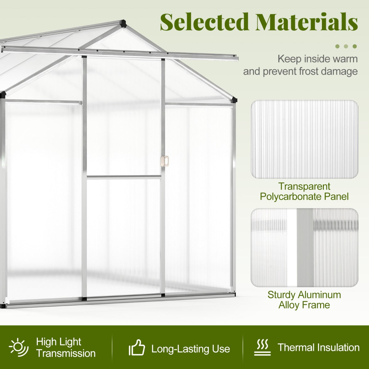 185 x 185 cm/244 x 185 cm Greenhouse Large Walk-in Green House-M