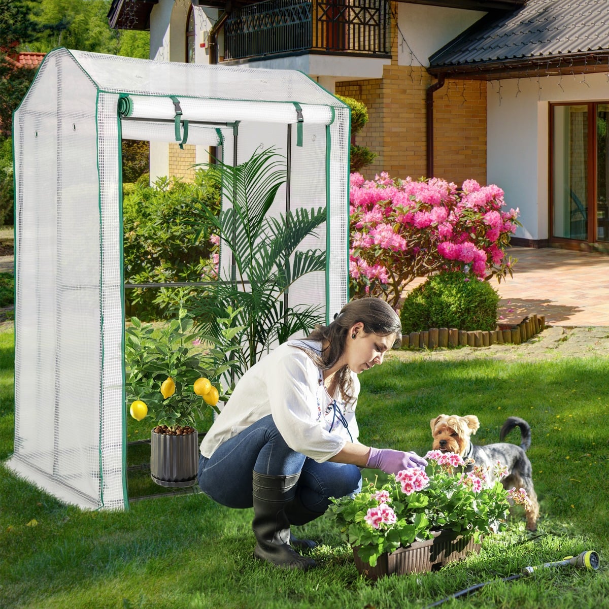 Garden Grow Green House with 4 Shelves and Roll-up Zippered Door