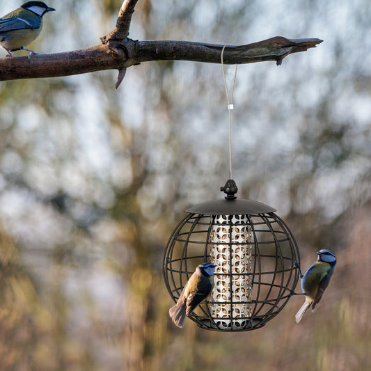 Squirrel-Proof Bird Feeder for Outdoor Hanging