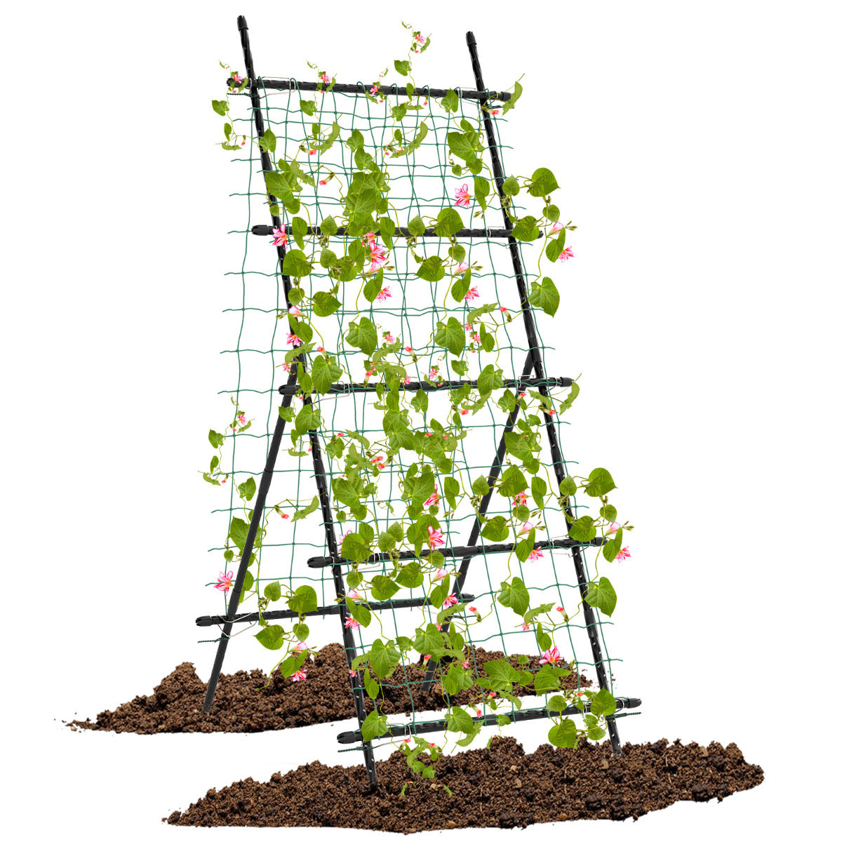 190cm x 80cm Cucumber Trellis for Raised Bed