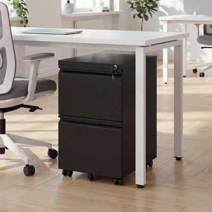 2-Drawer Mobile File Cabinet with 5 Casters and 2 Keys for A4-Black