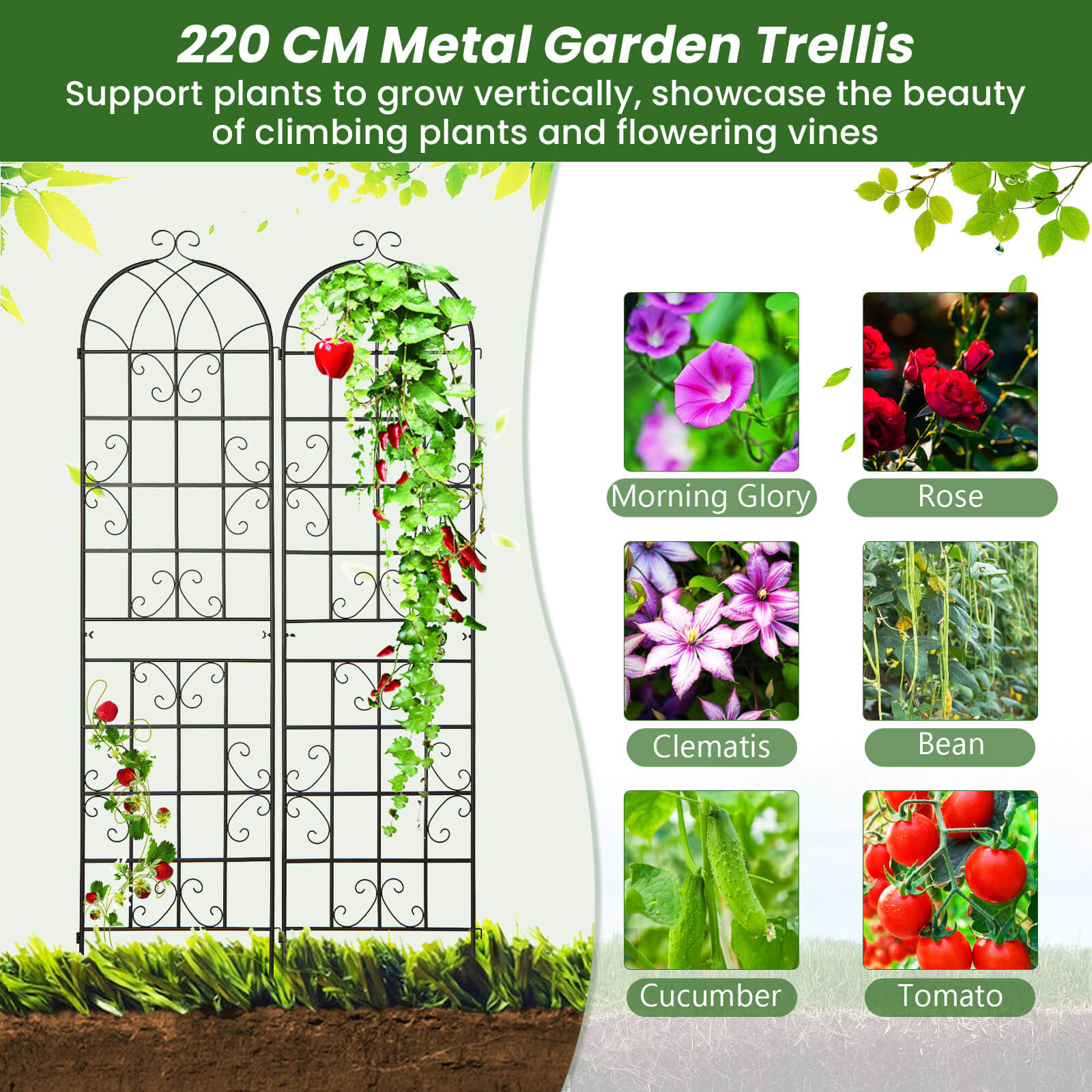 2 Pack 220 x 50 cm Metal Garden Trellis for Climbing Plants-Black