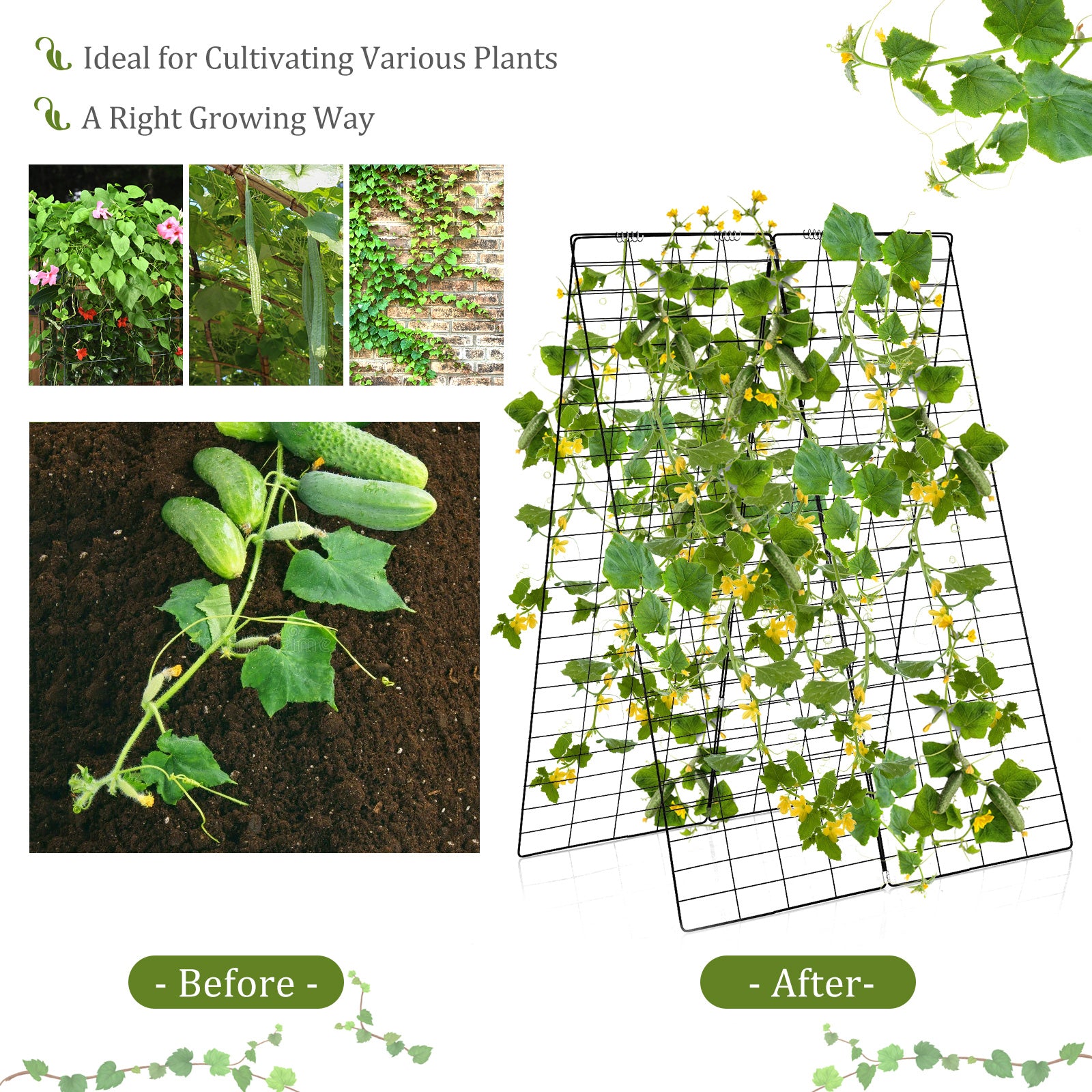 2-Pack Garden Cucumber Trellis with Accessories-Green
