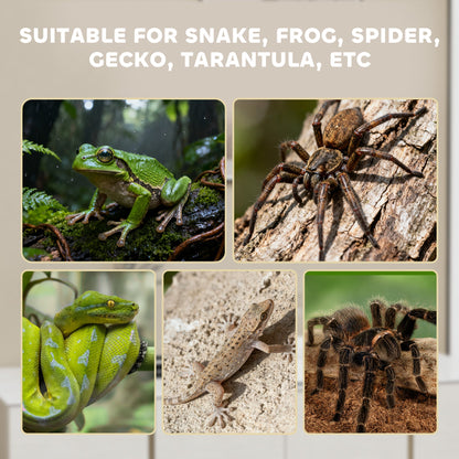PawHut Acrylic Reptile Terrarium with Top Sliding Door, Vents, for Snake, Frog, Spider, Gecko, Tarantula, 40 x 30 x 15 cm