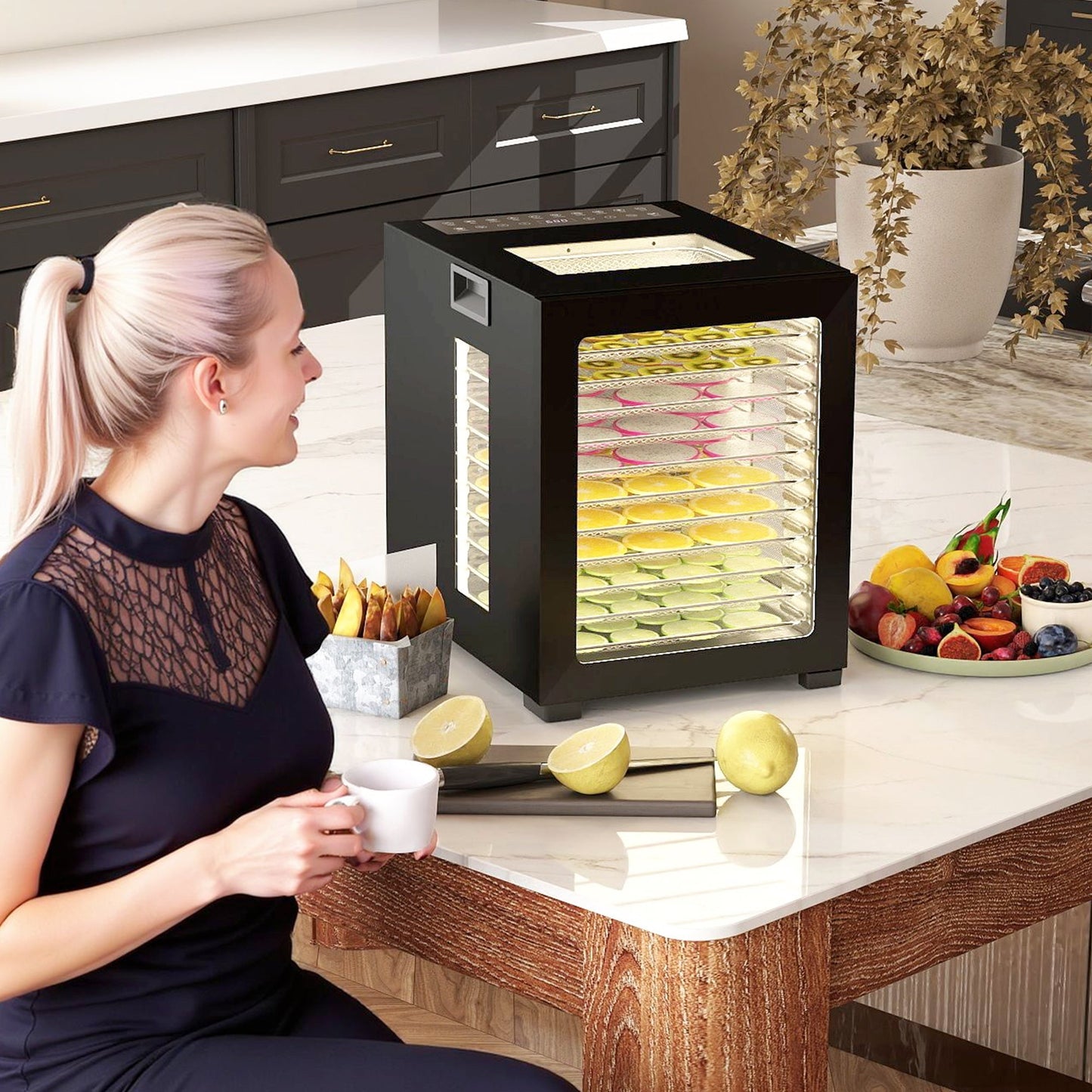 HOMCOM 12-Tray 40-70√¢‚Äû∆í Food Dehydrator - Black