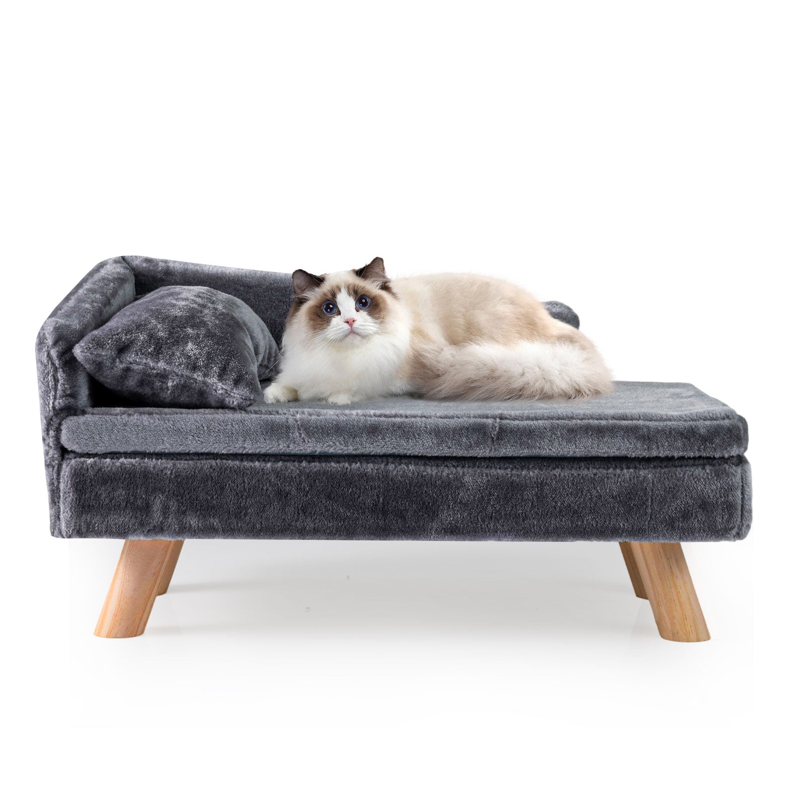 Elevated Pet Bed for Medium and Small Dogs Puppies Cats Kittens-Grey