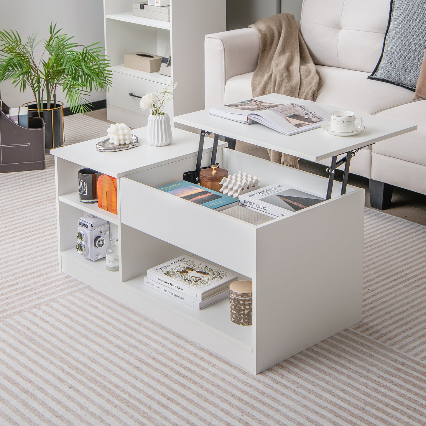 Modern Cocktail Table with Lift Tabletop and Hideaway Compartments