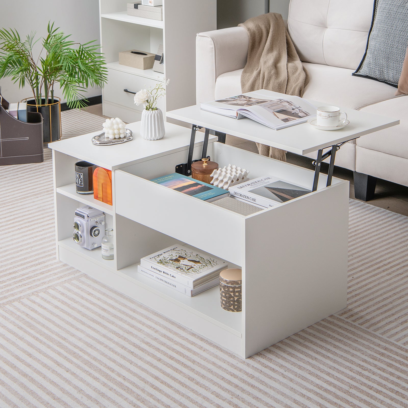 Modern Cocktail Table with Lift Tabletop and Hideaway Compartments
