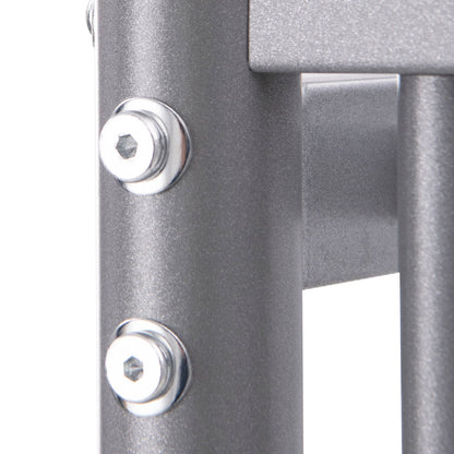Metal Space-saving Loft Bed Frame with Full-length Safety Guardrail-Silver