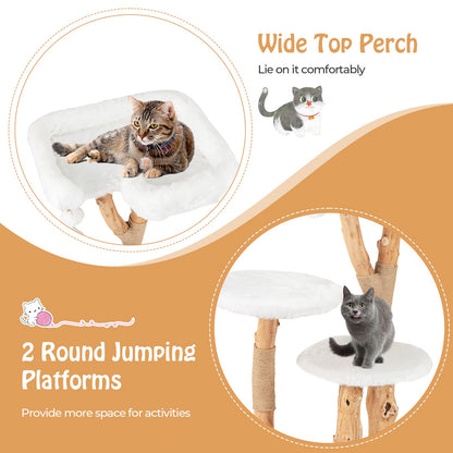 Solid Wood Cat Tree with Perch and Dangling Ball-White