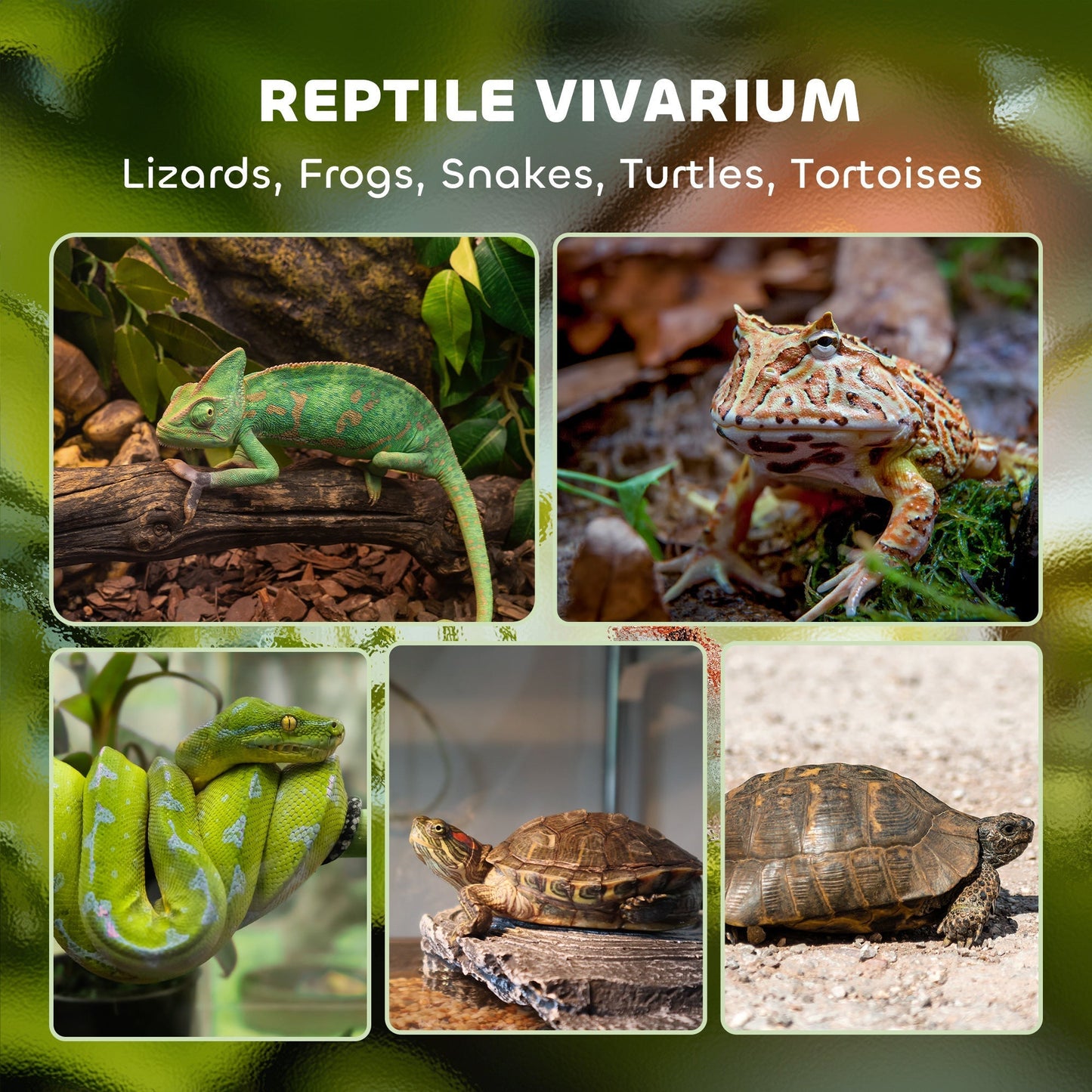 PawHut Reptile Glass Terrarium with Stone Background, Front Ventilation, Escape-Proof Knob Lock, 30 x 20 x 20 cm, Black