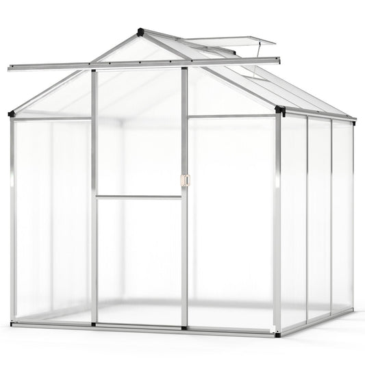 185 x 185 cm/244 x 185 cm Greenhouse Large Walk-in Green House-S